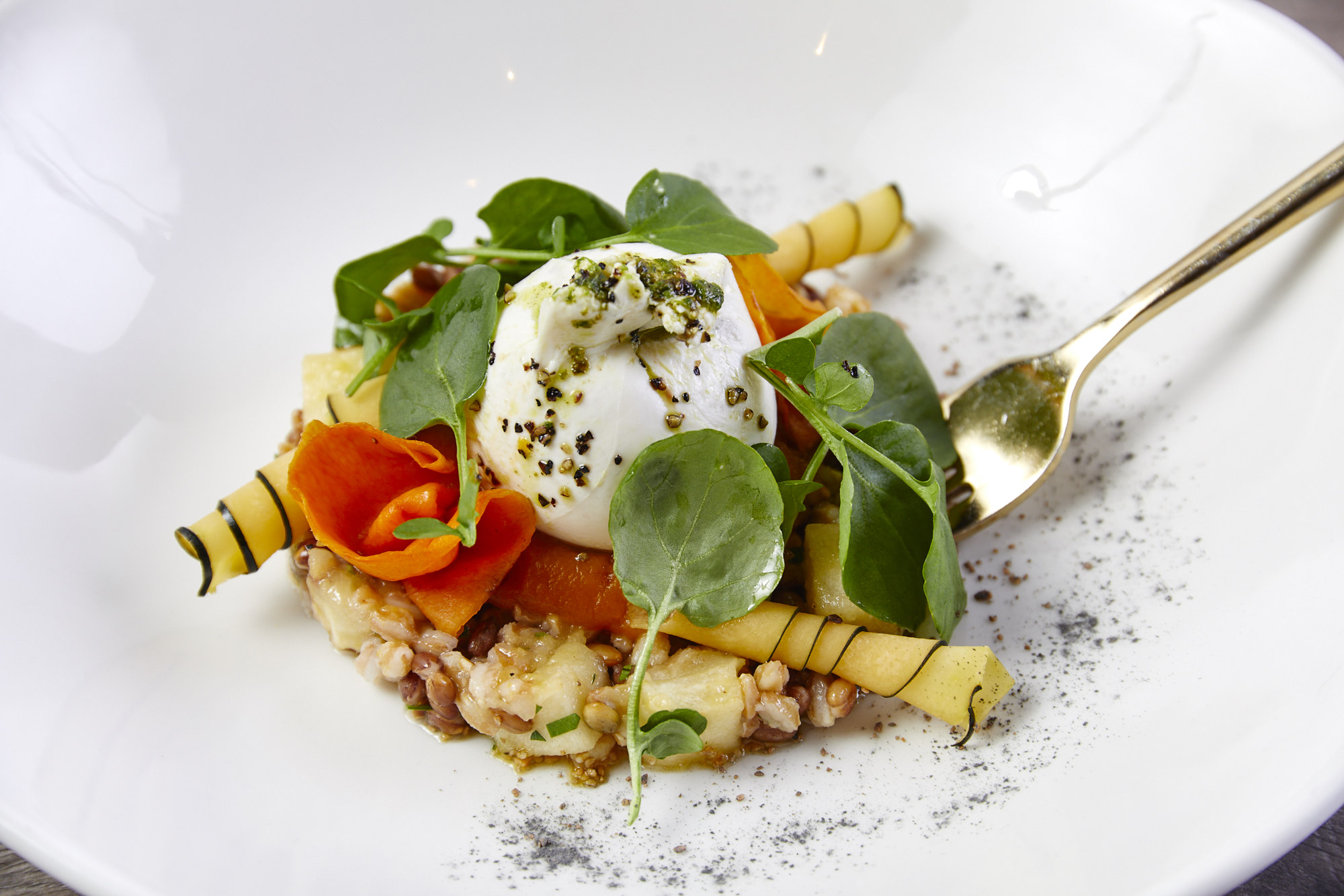 burrata and squash appetizer
